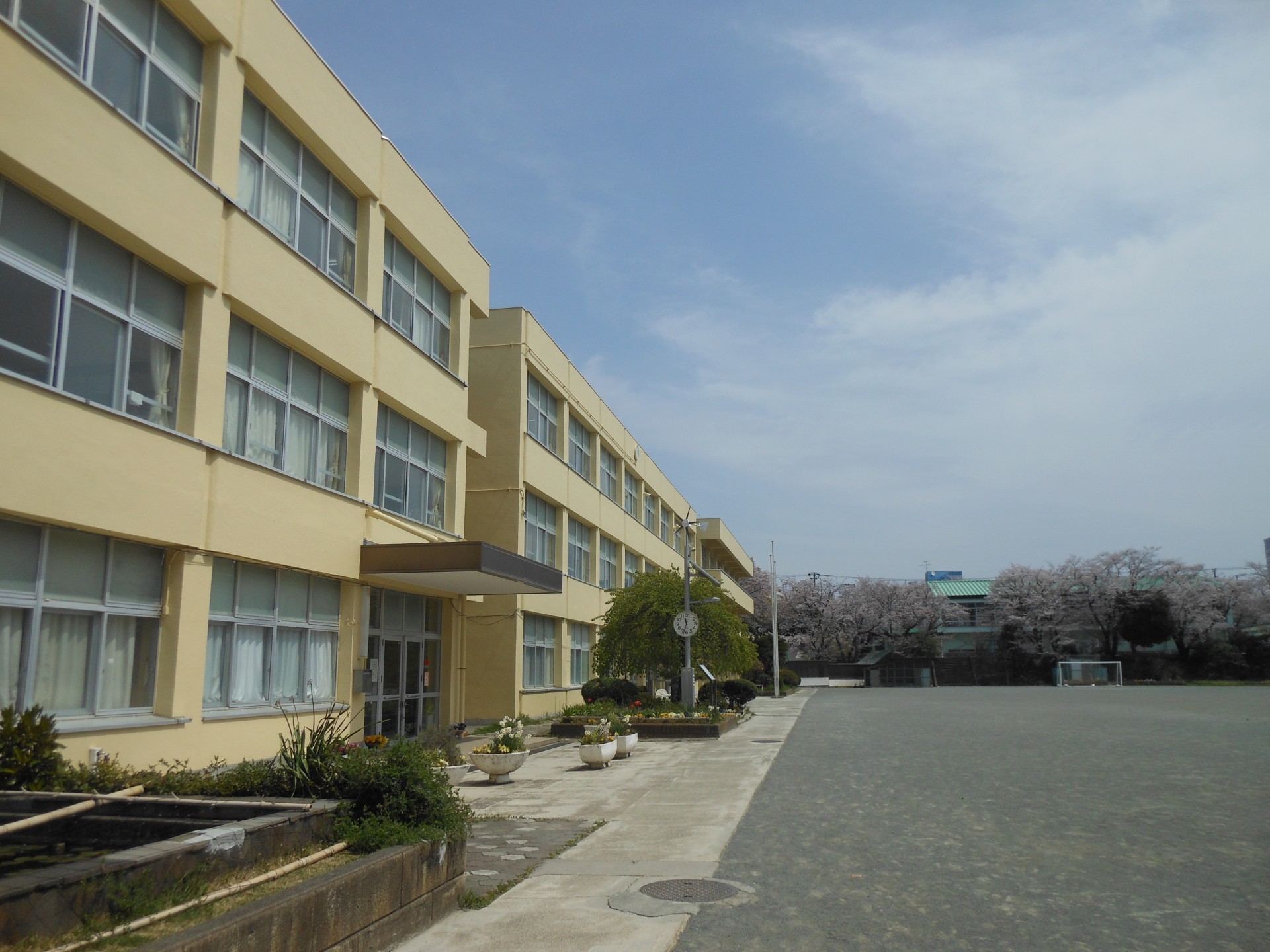 kosha.JPG