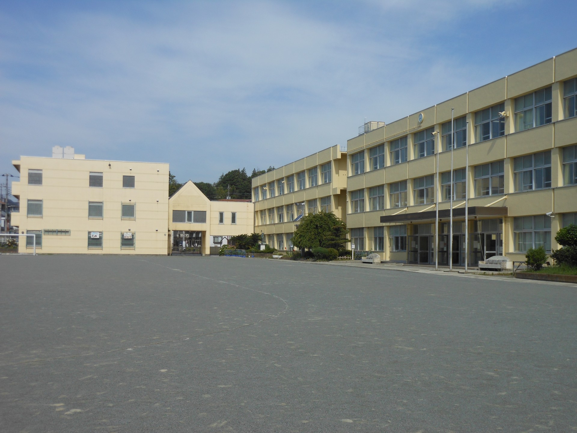 20250606kosha.JPG