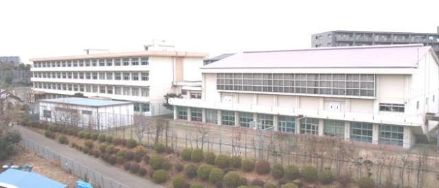 f6205d0af4ae381.jpg
